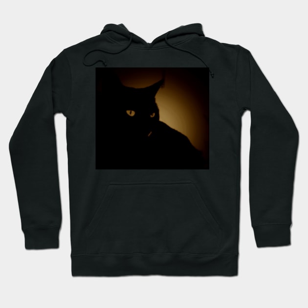 The Gold Cat Shadow Hoodie by Andyt